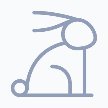 rabbit