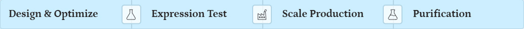 workflow protein production