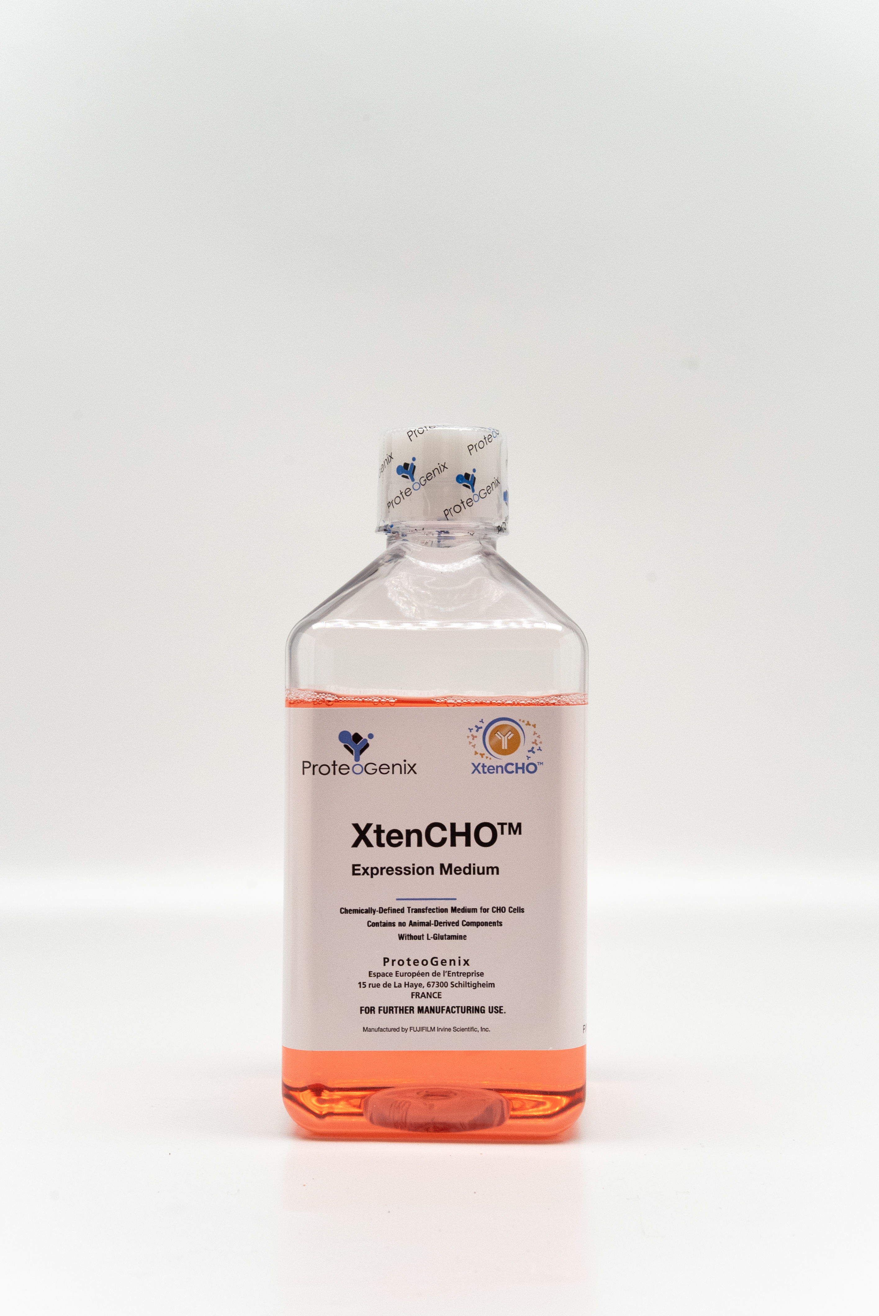 xtenchorace_2025-7-2.jpg