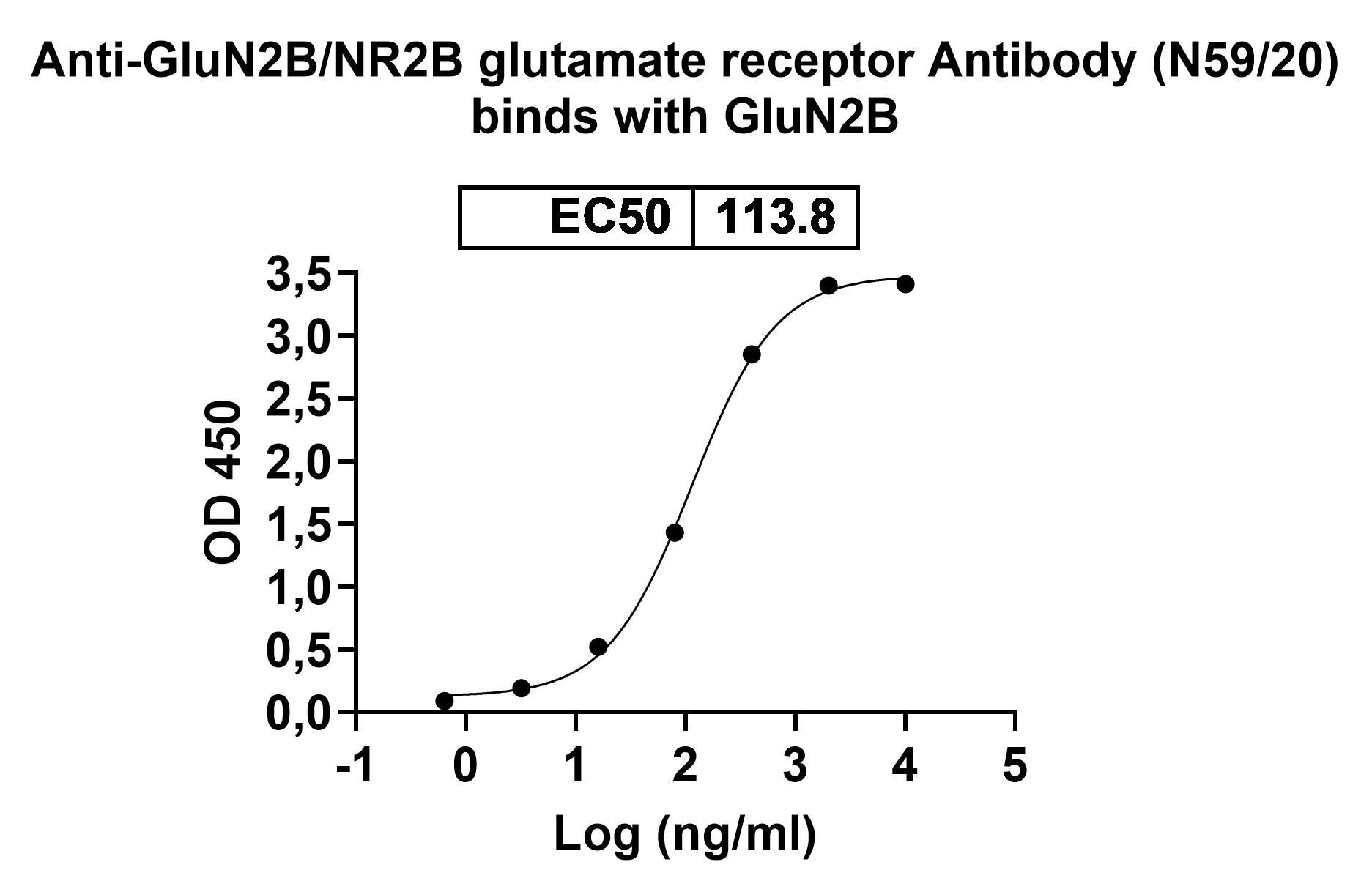 Anti-GluN2B/NR2B glutamate receptor Antibody (N59/20)