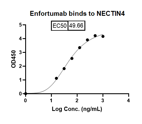Enfortumab Biosimilar- Anti-PVRL4 mAb- Research Grade binds to Human NECTIN4-PVRL4 recombinant protein in indirect ELISA Assay