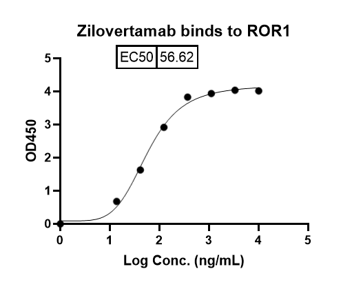 Zilovertamab Biosimilar - Anti-ROR1 mAb - Research Grade binds to Human ROR1 recombinant protein in indirect ELISA Assay