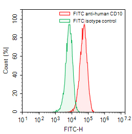 Flow Cytometry results for Anti-Human CD10/MME Antibody (NL-1), FITC