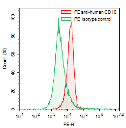 Flow Cytometry results for Anti-Human CD10/MME Antibody (NL-1), PE