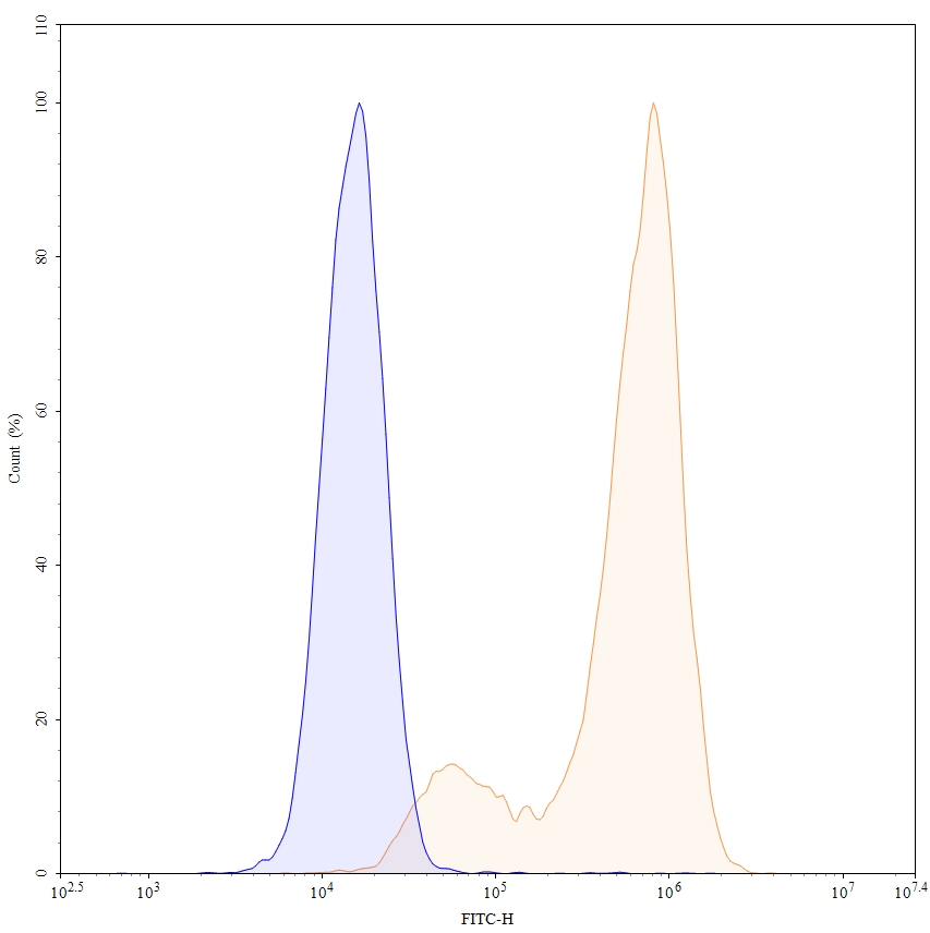 Flow Cytometry results for Anti-Human CD66e/CEA/CEACAM5 Antibody (MN14), FITC