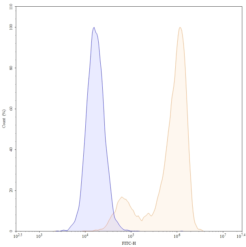Flow Cytometry results for Anti-Human CD66e/CEA/CEACAM5 Antibody (SAA0030), FITC
