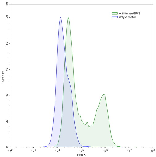 Flow Cytometry results for Anti-Human GPC2/Glypican-2 Antibody (D3)
