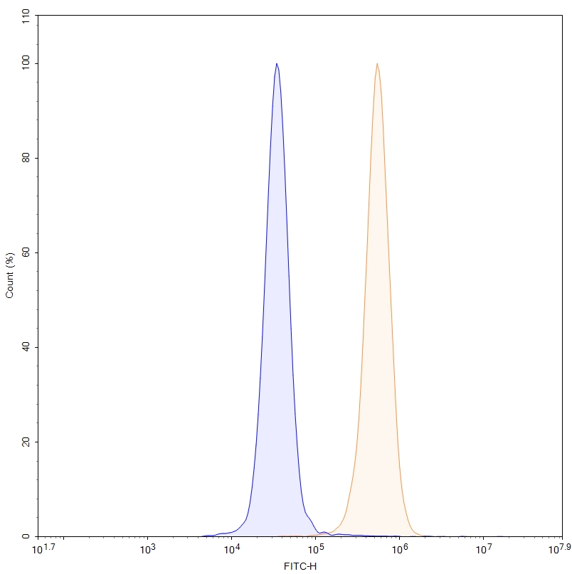 Flow Cytometry results for Anti-Human ZNF408 IP Antibody (SAA0241)