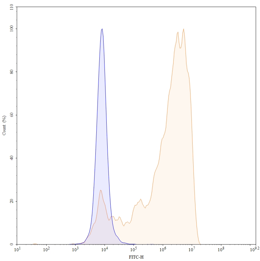 Flow Cytometry results for Human CD70 Monoclonal Antibody