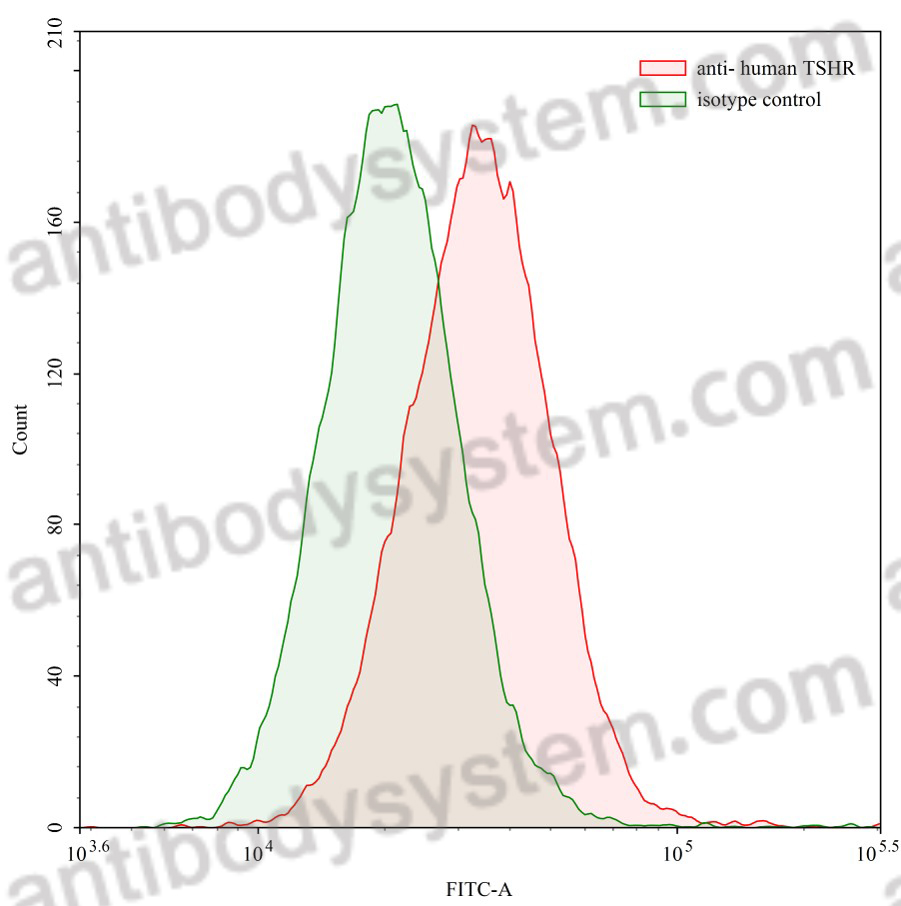 Flow Cytometry results for Human TSHR/LGR3 (M22) Monoclonal Antibody