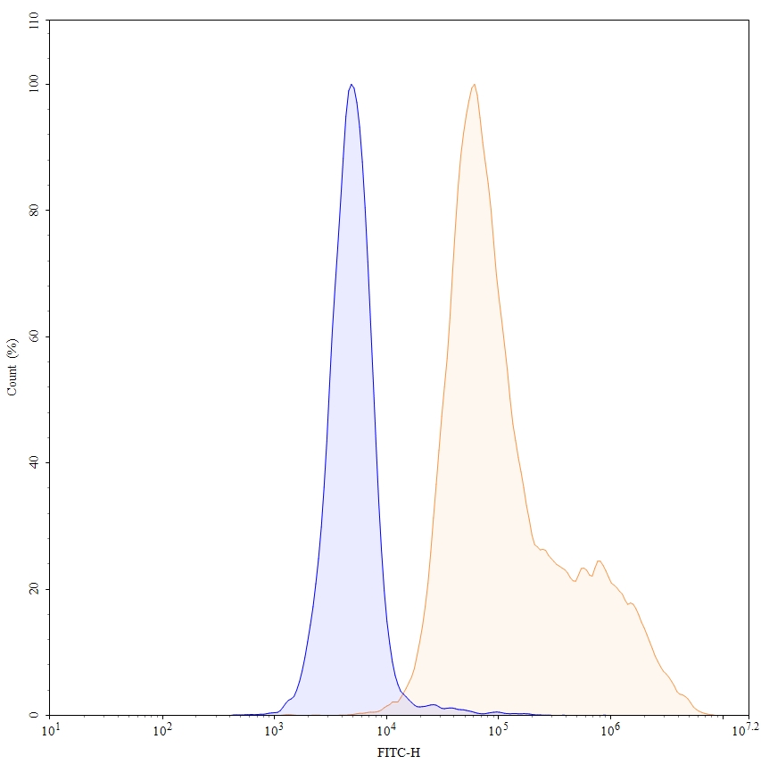 Flow Cytometry results for Anti-Human CD269/TNFRSF17/BCMA Antibody (SAA0816)