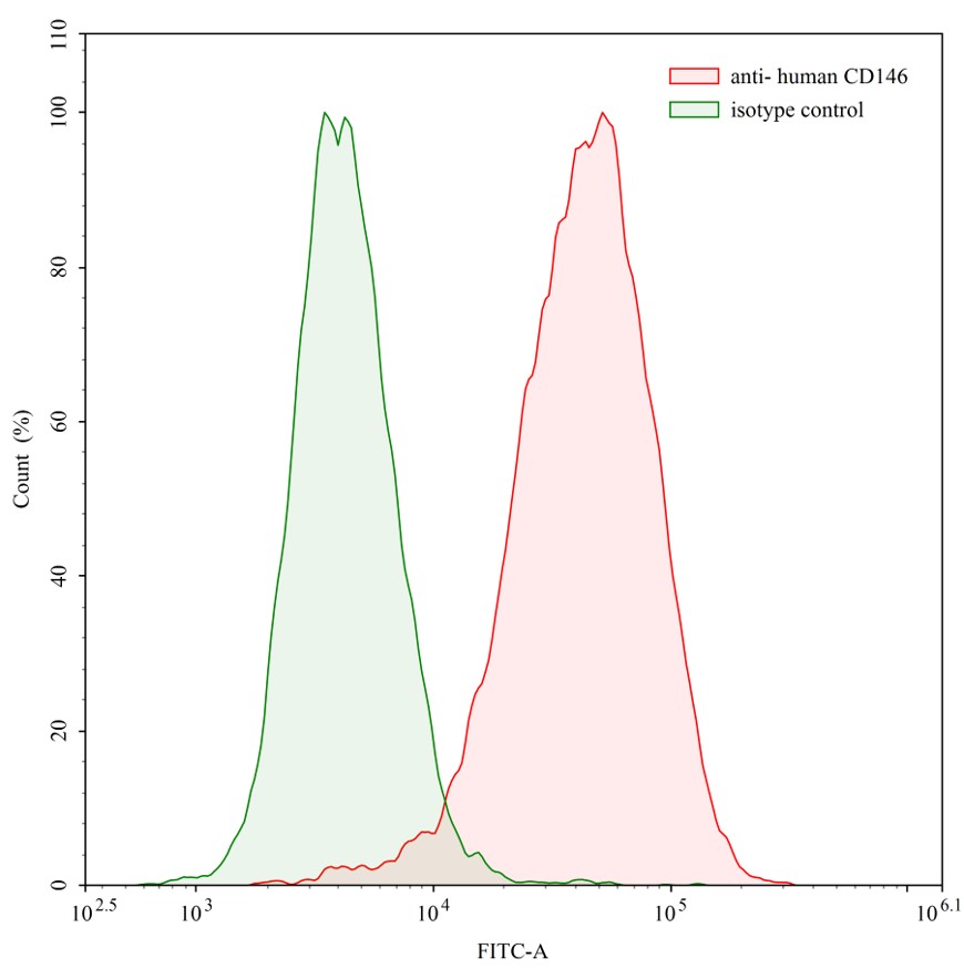 Flow Cytometry results for Human CD146/MCAM Monoclonal Antibody
