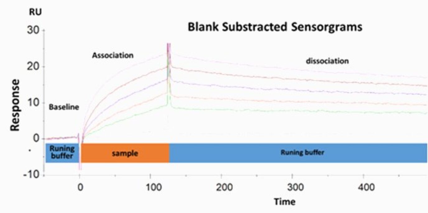 Antigen Antibody interaction measurement