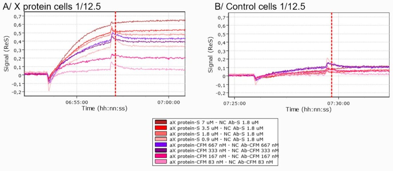 SPRi antibody cell interaction measurement example