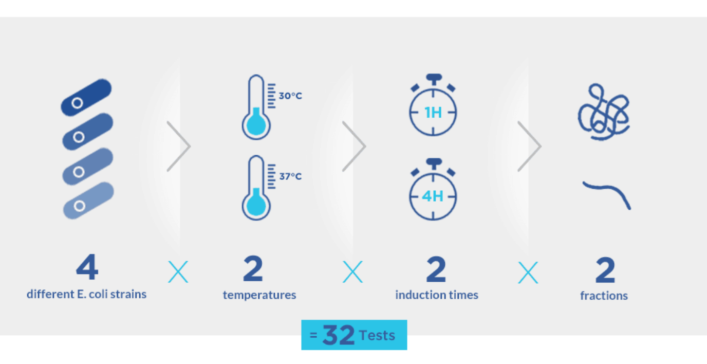 E. coli protein production tests