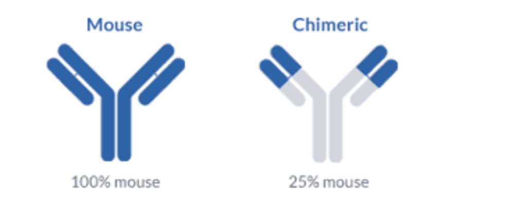 Why humanized antibody production may thrive in the 2020s