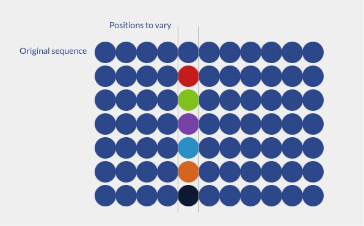 Positional scanning library