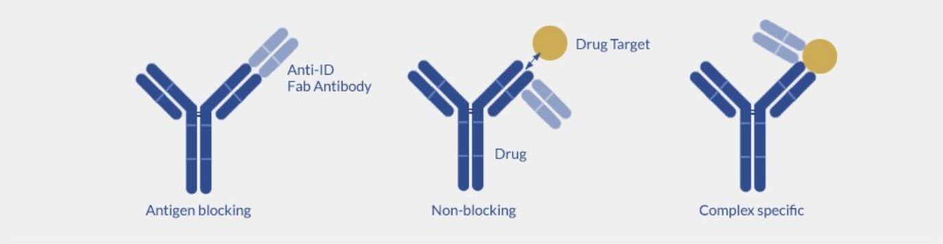 Types of anti-drug antibodies