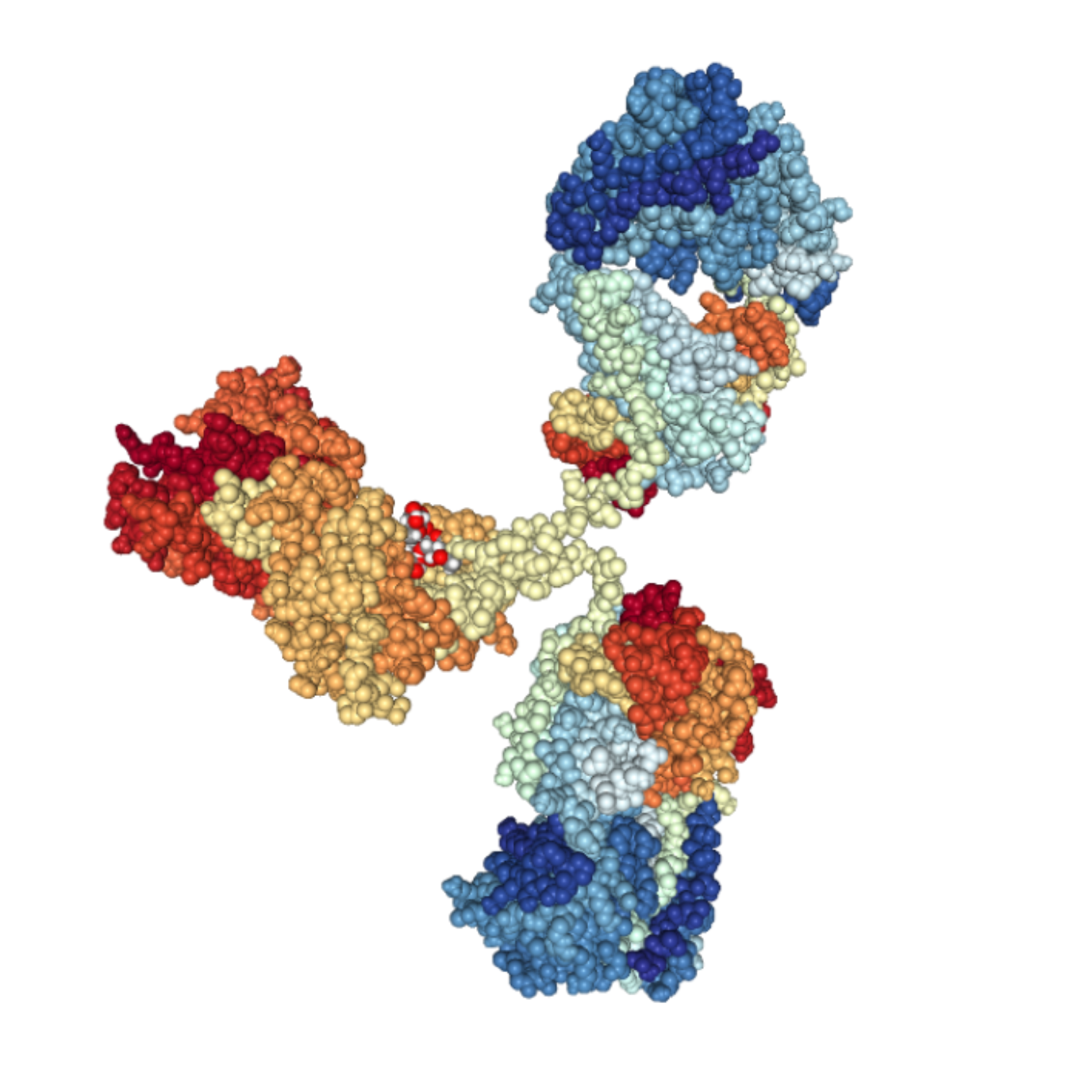 Antibody design