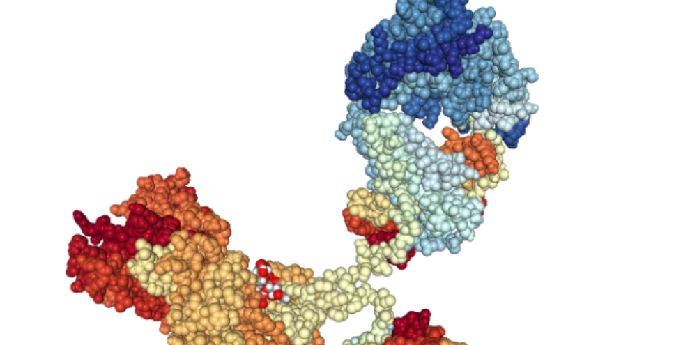 How nature inspires the development of better antibody design techniques
