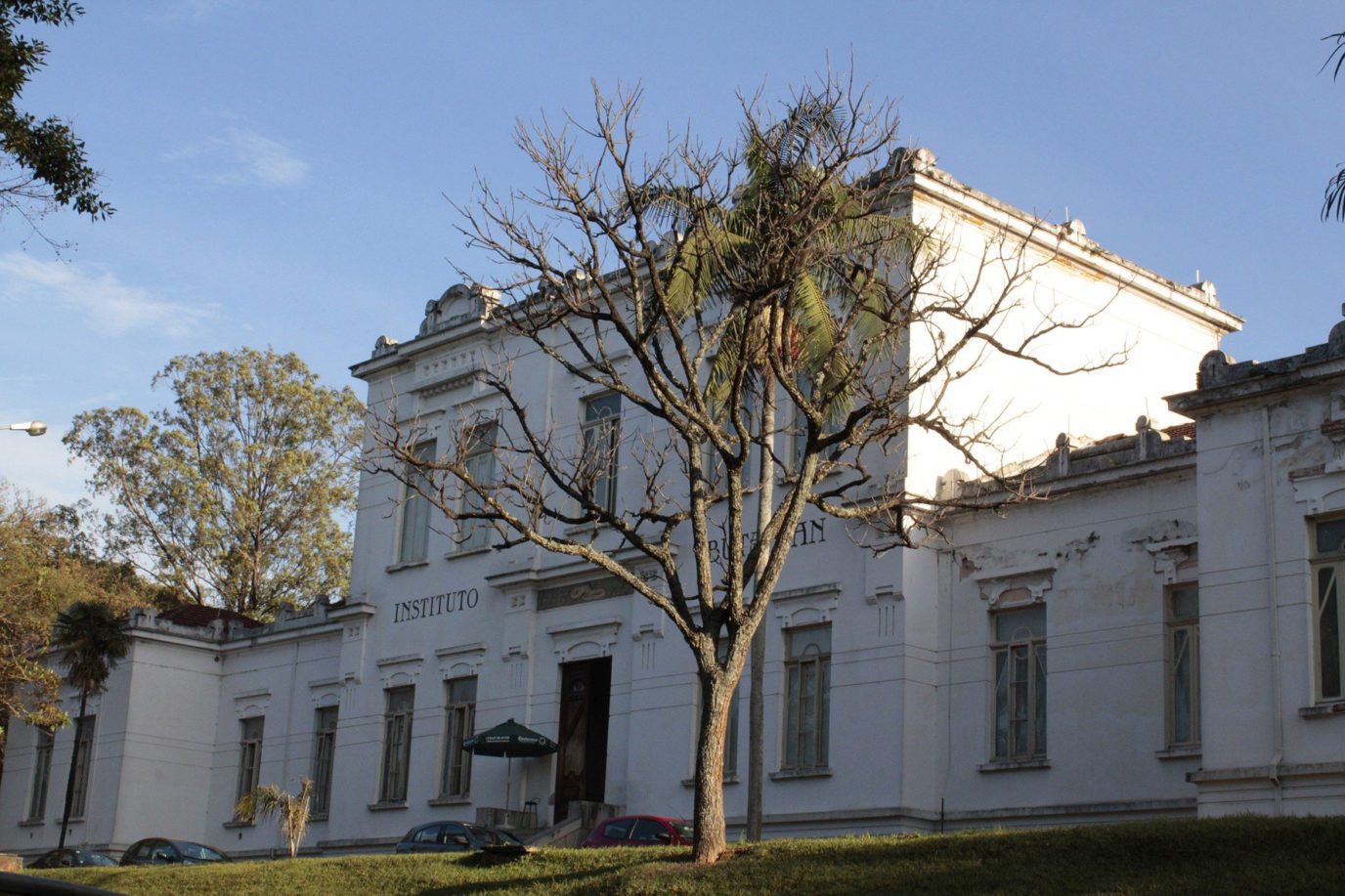 University of São Paulo