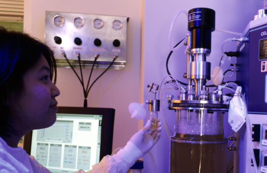 Antibody production: cells and engineering approaches for therapeutic applications