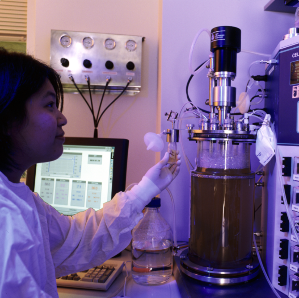 Antibody production cells and engineering for therapeutic applications