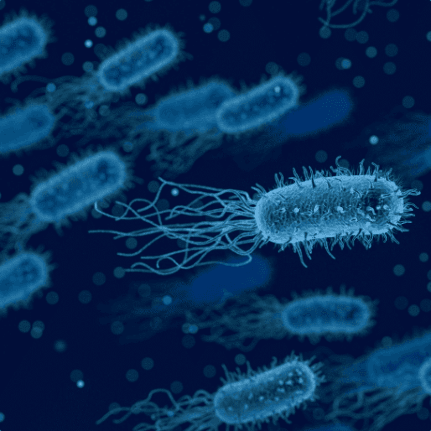 Secondary antibody production