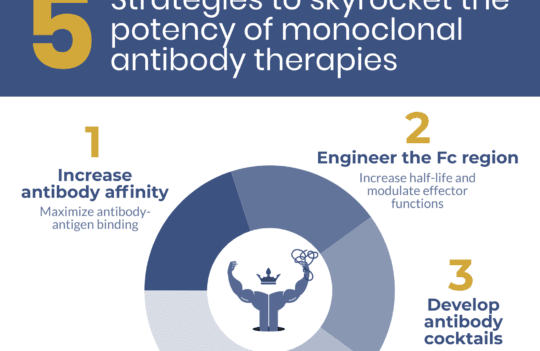5 strategies to skyrocket the potency of monoclonal antibody therapy