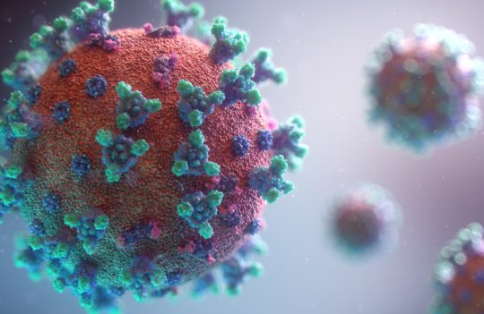 All you need to know about the main emerging variants of SARS-CoV-2