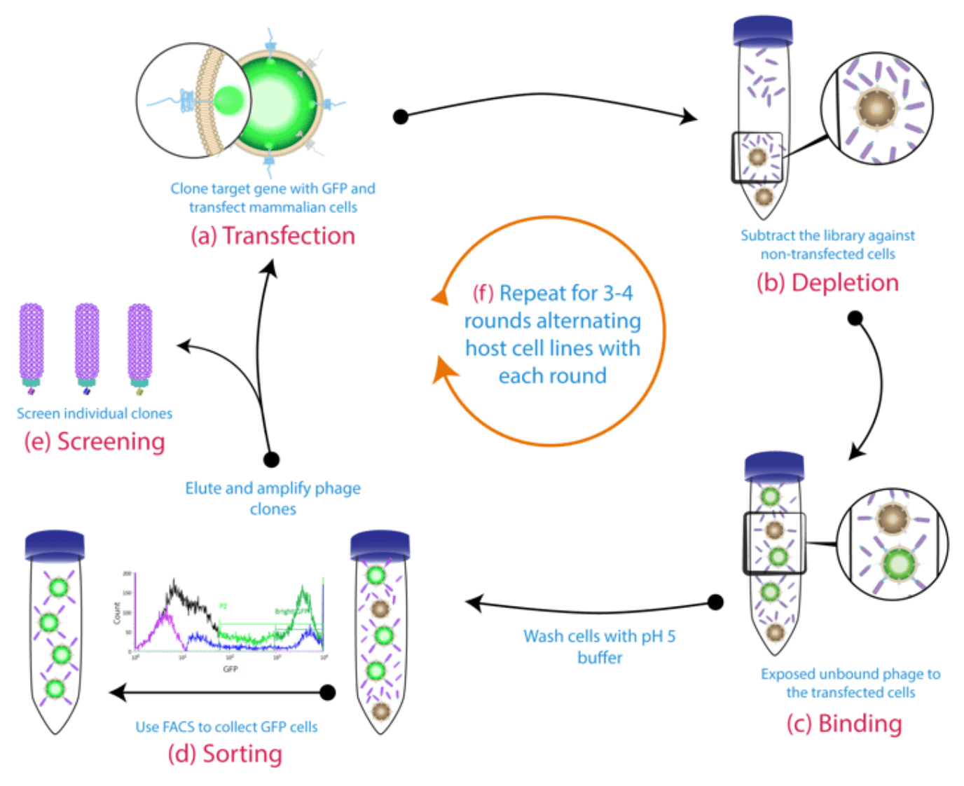 cell based panning