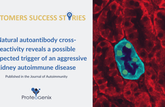 A cross-reactive antibody unravels the unexpected trigger of an aggressive autoimmune disease