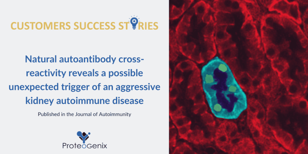 A cross-reactive antibody unravels the unexpected trigger of an aggressive autoimmune disease