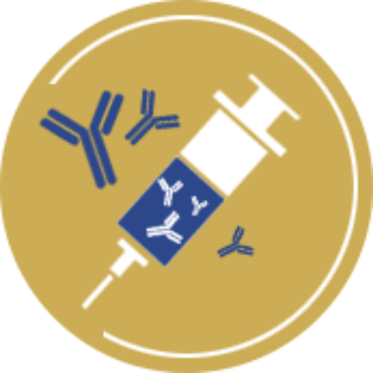 Hybridoma production for therapeutic applications