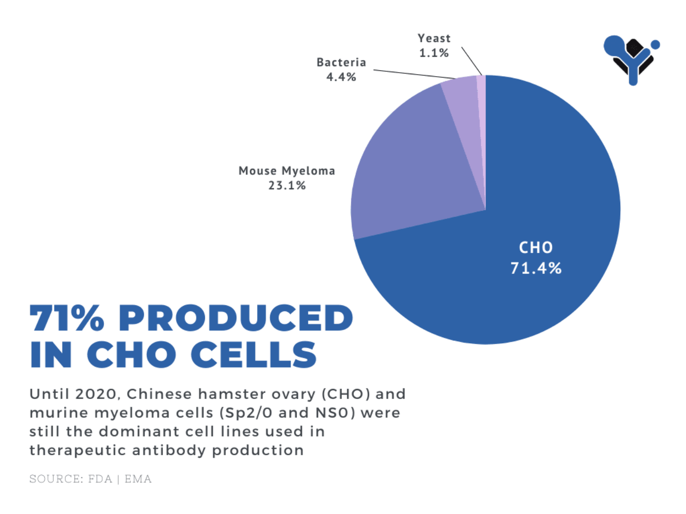 mAb production in CHO cells