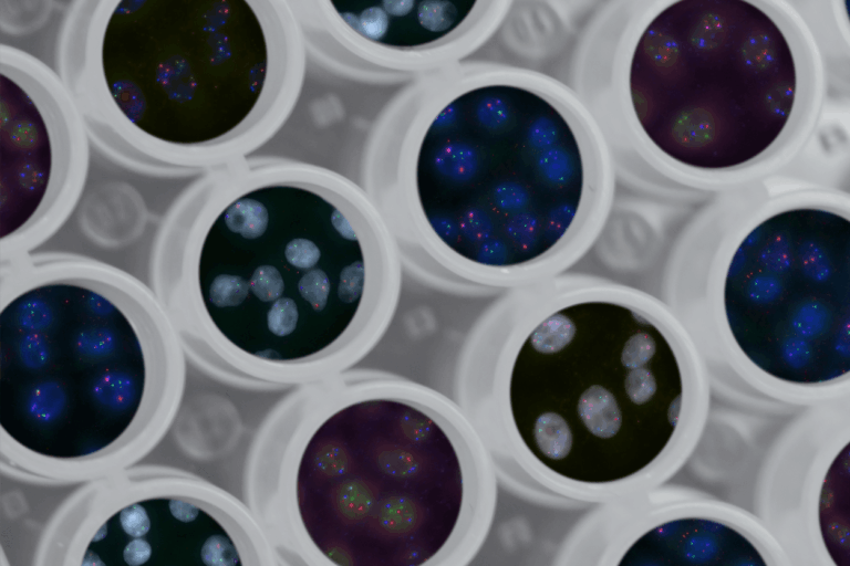 The untapped potential of bispecific antibody therapies