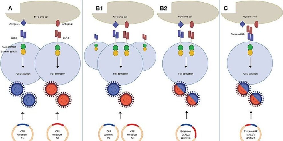CAR-T cell engineering: strategies to overcome remaining limitations