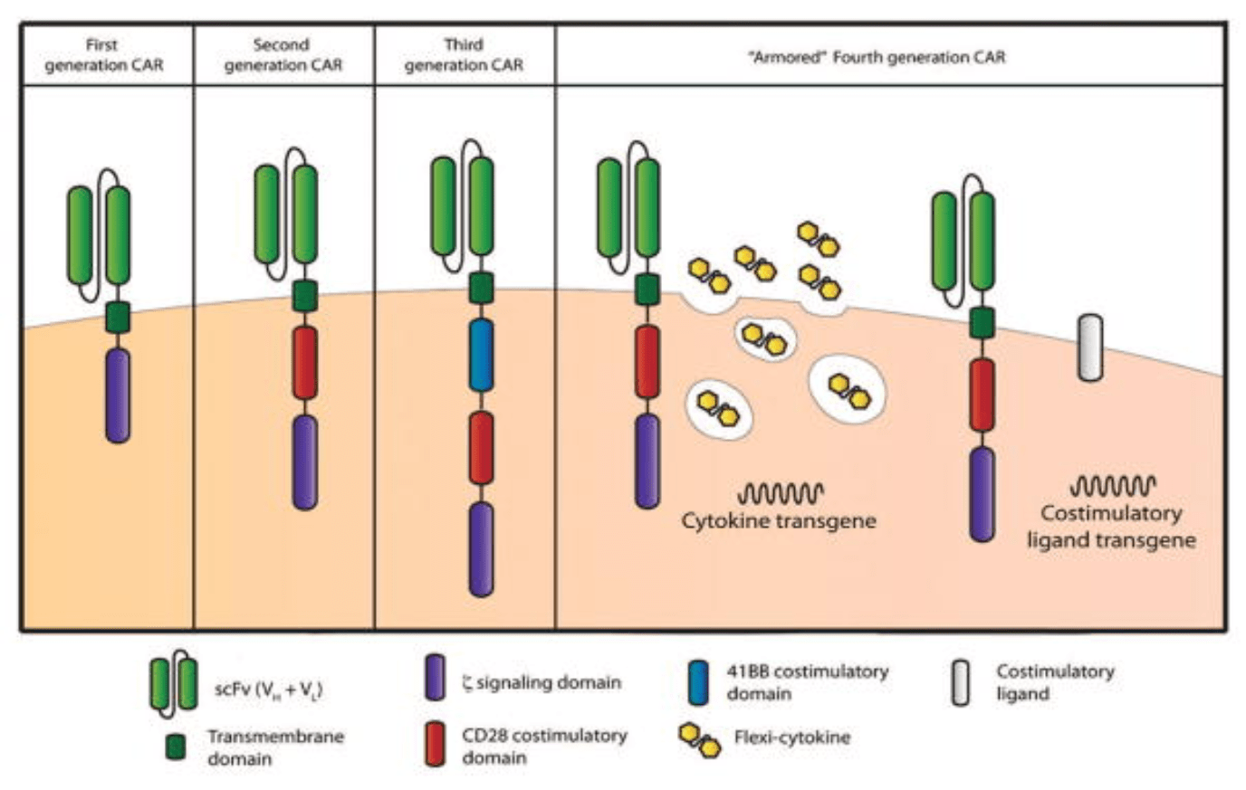 generations of CAR-T cells