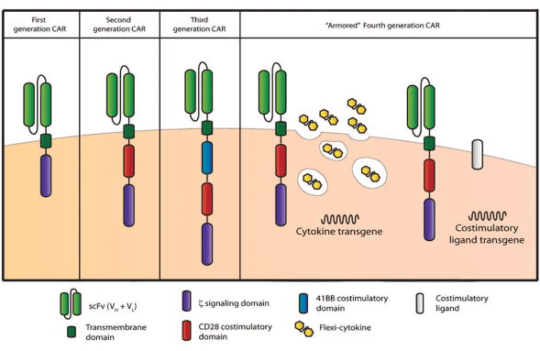 From the first to the fifth generation of CAR-T cells