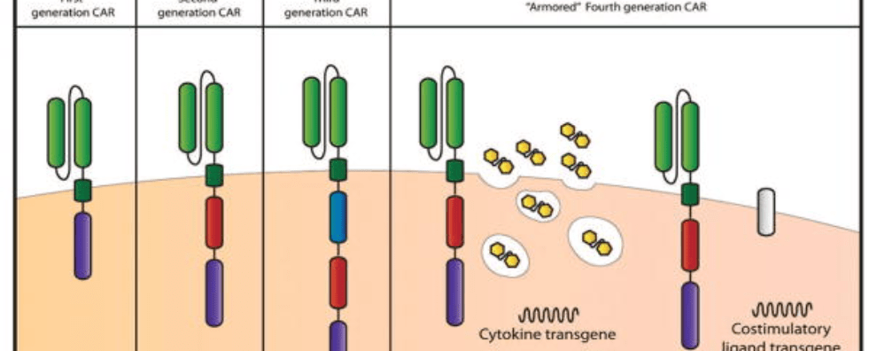 From the first to the fifth generation of CAR-T cells