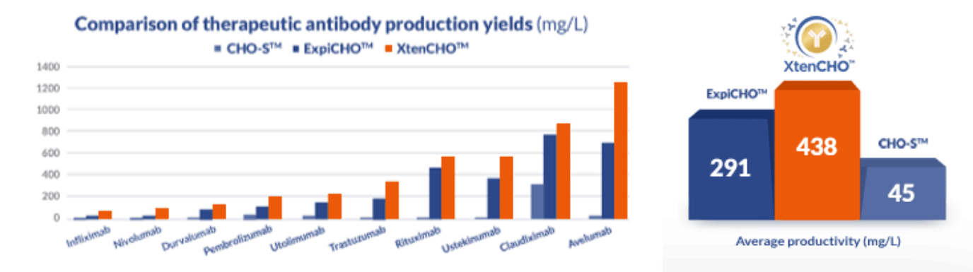 XtenCHO production yields