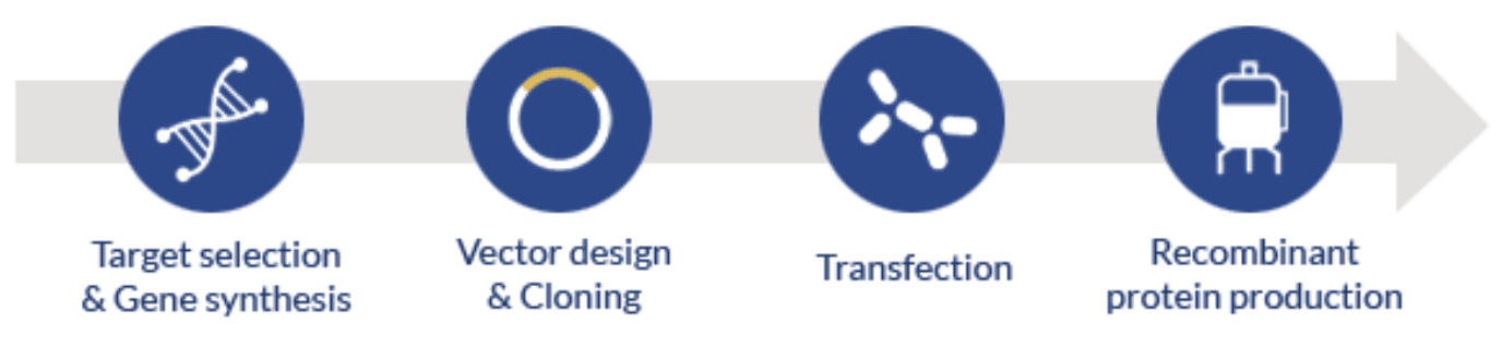 Principles transient expression