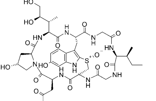 DNA-damaging agents and transcription inhibitors as payloads of ADCs