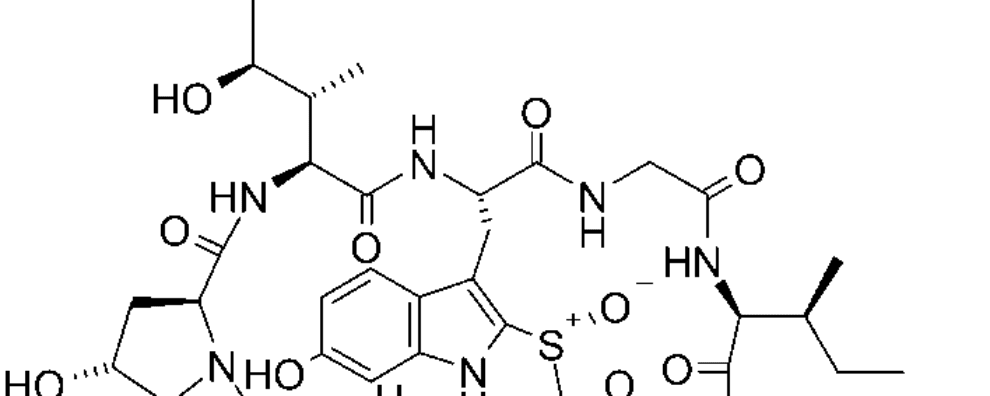 DNA-damaging agents and transcription inhibitors as payloads of ADCs