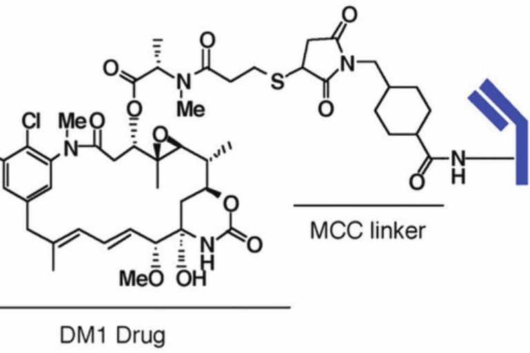 ADC linkers: Definition and examples