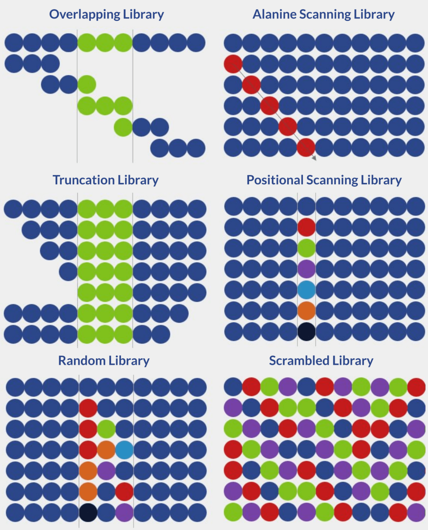 Peptide Library Design