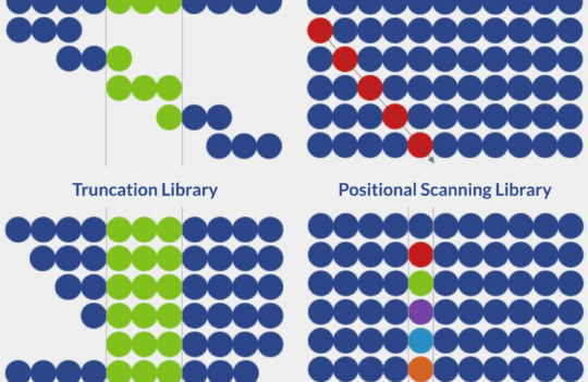 All you need to know about peptide library design