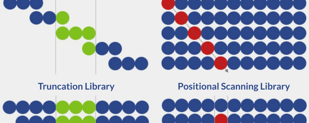 All you need to know about peptide library design