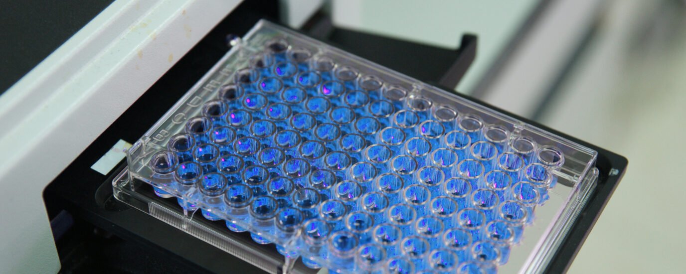 Synthetic peptides and high-throughput protein interaction analysis