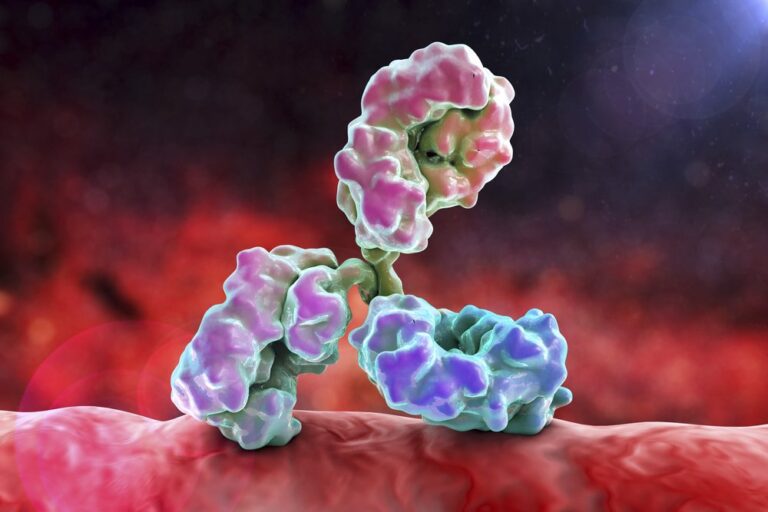 How to choose the best antibody generation technique for your project?